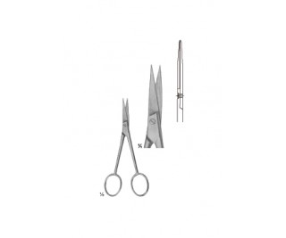 Delicate Scissors